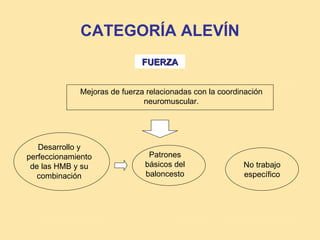 CATEGORÍA ALEVÍN
                             FUERZA


             Mejoras de fuerza relacionadas con la coordinación
                              neuromuscular.




   Desarrollo y
perfeccionamiento              Patrones
 de las HMB y su              básicos del                No trabajo
   combinación                baloncesto                 específico
 