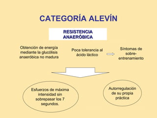 CATEGORÍA ALEVÍN
                         RESISTENCIA
                         ANAERÓBICA

Obtención de energía                                   Síntomas de
                            Poca tolerancia al
mediante la glucólisis                                    sobre-
                              ácido láctico
anaeróbica no madura                                  entrenamiento




      Esfuerzos de máxima                        Autorregulación
          intensidad sin                          de su propia
        sobrepasar los 7                            práctica
            segundos.
 