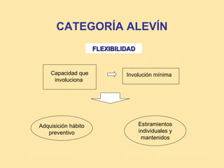 CATEGORÍA ALEVÍN
                     FLEXIBILIDAD


    Capacidad que             Involución mínima
     involuciona




Adquisición hábito                  Estiramientos
   preventivo                       individuales y
                                     mantenidos
 