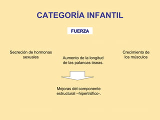 CATEGORÍA INFANTIL
                                FUERZA



Secreción de hormonas                                 Crecimiento de
       sexuales            Aumento de la longitud      los músculos
                           de las palancas óseas.




                        Mejoras del componente
                        estructural –hipertrófico-.
 