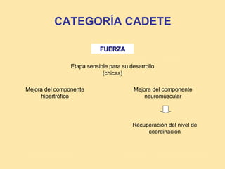 CATEGORÍA CADETE

                           FUERZA

                Etapa sensible para su desarrollo
                            (chicas)

Mejora del componente                   Mejora del componente
     hipertrófico                           neuromuscular




                                        Recuperación del nivel de
                                             coordinación
 