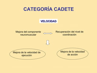 CATEGORÍA CADETE

                            VELOCIDAD


  Mejora del componente             Recuperación del nivel de
      neuromuscular                      coordinación




Mejora de la velocidad de               Mejora de la velocidad
       ejecución                              de acción
 