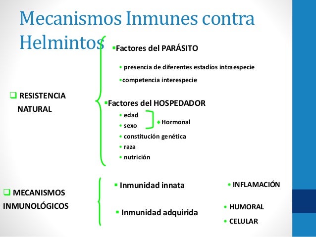 Como el organismo reacciona a las lombrices