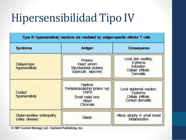 hipersensibilidad tipo iv 18 hipersensibilidad tipo iv th1 19 ...