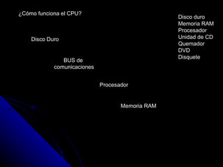 Procesador Disco Duro Memoria RAM BUS de  comunicaciones ¿Cómo funciona el CPU? Disco duro Memoria RAM Procesador Unidad de CD Quemador DVD Disquete 