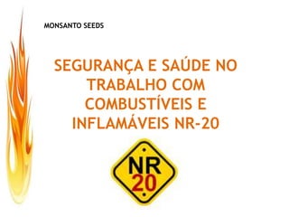 SEGURANÇA E SAÚDE NO
TRABALHO COM
COMBUSTÍVEIS E
INFLAMÁVEIS NR-20
MONSANTO SEEDS
 