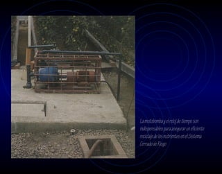 La motobomba y el reloj de tiempo son
indispensables para asegurar un eficiente
reciclaje de los nutrientes en el Sistema
Cerrado de Riego
 