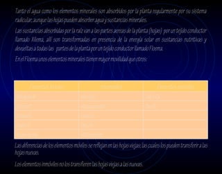 Tanto el agua como los elementos minerales son absorbidos por la planta regularmente por su sistema
radicular, aunque las hojas pueden absorber agua y sustancias minerales.
Las sustancias absorbidas por la raíz van a las partes aereas de la planta (hojas) por un tejido conductor
llamado Xilema, allí son transformadas en presencia de la energía solar en sustancias nutritivas y
devueltas a todas las partes de la planta por un tejido conductor llamado Floema.
En el Floema unos elementos minerales tienen mayor movilidad que otros:


        Elementos Móviles                        Intermedios                       Elementos Inmóviles
Nitrógeno N                           Hierro Fe                             Calcio Ca
Fósforo P                             Manganeso Mn                          Boro B
Potasio K                             Cobre Cu
Azufre S                              Zinc Zn
Magnesio Mg                           Molibdeno Mo
Las diferencias de los elementos móviles se reflejan en las hojas viejas; las cuales los pueden transferir a las
hojas nuevas.
Los elementos inmóviles no los transfieren las hojas viejas a las nuevas.
 