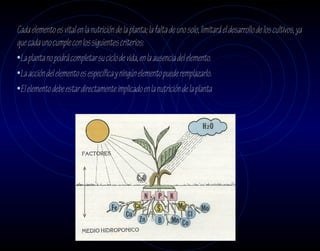 Cada elemento es vital en la nutrición de la planta; la falta de uno solo, limitará el desarrollo de los cultivos, ya
que cada uno cumple con los siguientes criterios:
•La planta no podrá completar su ciclo de vida, en la ausencia del elemento.
•La acción del elemento es específica y ningún elemento puede remplazarlo.
•El elemento debe estar directamente implicado en la nutrición de la planta
 