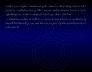 Cuando se quema una planta observamos que quedan unas cenizas; ellas son el esqueleto mineral de la
planta sobre el cual la planta construye todo el cuerpo que nosostros observamos tal como raíces, tallo,
hojas, flores y frutos, con base en la energía solar mediante el proceso de la fotosíntesis.
Los nutrientes que se colocan a la planta, son absorbidos por la raíz para conformar un esqueleto mineral y
sobre éste la planta construye lo que pueda de acuerdo a su potencial genético y al medio ambiente en el
cual se desarrolle.
 