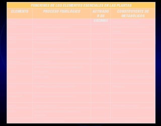 FUNCIONES DE LOS ELEMENTOS ESENCIALES EN LAS PLANTAS
   ELEMENTO                PROCESO FISIOLÓGICO                                  ACTIVADO      CONSTITUYENTE DE
                                                                                   R DE           METABÓLICOS
Nitrogeno N                                                                      ENZIMAS Aminoácidos, proteínas, clorofila.
Fósforo P       Transferidor de energía, integra la membrana.                                 Adenosina trifosfato (ATP), nucleótidos y
                                                                                              fosfolípidos.
Potasio K       Traslocación, apertura de estomas.                                   Sí
Azufre S        Sintesis de proteínas y función estructural.                                  Aminoácidos, proteínas y coenzimas.

Calcio Ca       Mantenimiento de la integridad de la membrana.                       Sí       Pectatos de Calcio.

Magnesio Mg     Asimilación del CO2                                                  Sí       Clorofila.
Cloro Cl        Mantiene la neutralidad electrica y el turgor (rigidez de los
                tejidos vegetales).
Cobre Cu        Síntesis de lignina.                                                          Ácido ascórbico, oxidasa, fenolasa, plastocianina.

Zinc Zn         Metabolismo de auxinas y síntesis de nucleótidos.                    Sí       Dehídrogenasa.

Manganeso Mn    Óxido-Reducción en el transporte de electrones e -                   Sí

Hierro Fe       Transporte de electrones e-                                                   Porfirinas férricas y ferredoxina.
Boro B          Síntesis de nucleótidos, translocación y asimalación de
                carbohidratos.
Molibdeno Mo    Fijación del N, reducción del nitrato.                                        Nitrógenas y nitrato reductasa.
 