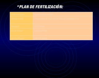 * PLAN DE FERTILIZACIÓN:
semillas en espuma      Agua pura, fase de semillero
Plantulas en rejilla    Primera semana ¼ Full de solución”. Antes del transplante ½ Full

Transplante             1 Full corriente
Inicio de floración     ½ de Full corriente .

Inicio fructificación   ½ de Full corriente .
 