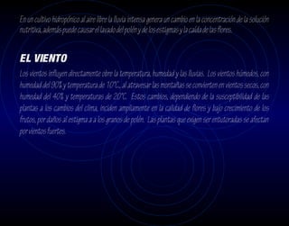 En un cultivo hidropónico al aire libre la lluvia intensa genera un cambio en la concentración de la solución
nutritiva, además puede causar el lavado del polén y de los estigmas y la caída de las flores.


EL VIENTO
Los vientos influyen directamente obre la temperatura, humedad y las lluvias. Los vientos húmedos, con
humedad del 90% y temperatura de 10°C., al atravesar las montañas se convierten en vientos secos, con
humedad del 40% y temperaturas de 20°C. Estos cambios, dependiendo de la susceptibilidad de las
plantas a los cambios del clima, inciden ampliamente en la calidad de flores y bajo crecimiento de los
frutos, por daños al estigma a a los granos de polén. Las plantas que exigen ser entutoradas se afectan
por vientos fuertes.
 
