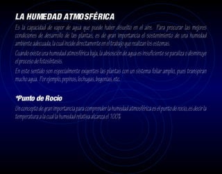 LA HUMEDAD ATMOSFÉRICA
Es la capacidad de vapor de agua que puede haber disuelto en el aire. Para procurar las mejores
condiciones de desarrollo de las plantas, es de gran importancia el sostenimiento de una humedad
ambiente adecuada, la cual incide directamente en el trabajo que realizan los estomas.
Cuando existe una humedad atmosférica baja, la absosción de agua es insuficiente se paraliza o disminuye
el proceso de fotosíntesis.
En este sentido son especialmente exigentes las plantas con un sistema foliar amplio, pues transpiran
mucho agua. Por ejemplo, pepinos, lechugas, begonias, etc.

*Punto de Rocío
Un concepto de gran importancia para comprender la humedad atmosférica es el punto de rocio, es decir la
temperatura a la cual la humedad relativa alcanza el 100%
 