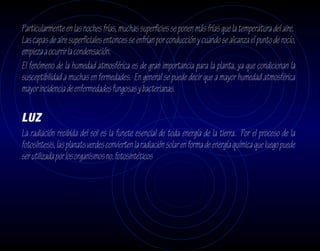 Particularmente en las noches frías, muchas superficies se ponen más frías que la temperatura del aire.
Las capas de aire superficiales entonces se enfrían por conducción y cuando se alcanza el punto de rocío,
empieza a ocurrir la condensación.
El fenómeno de la humedad atmosférica es de gran importancia para la planta, ya que condicionan la
susceptibilidad a muchas en fermedades. En general se puede decir que a mayor humedad atmosférica
mayor incidencia de enfermedades fungosas y bacterianas.

LUZ
La radiación recibida del sol es la funete esencial de toda energía de la tierra. Por el proceso de la
fotosíntesis, las planats verdes convierten la radiación solar en forma de energía química que luego puede
ser utilizada por los organismos no. fotosintéticos
 