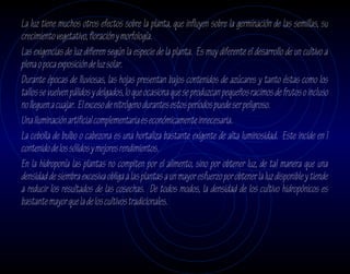 La luz tiene muchos otros efectos sobre la planta, que influyen sobre la germinación de las semillas, su
crecimiento vegetativo, floración y morfología.
Las exigencias de luz difieren según la especie de la planta. Es muy diferente el desarrollo de un cultivo a
plena o poca exposición de luz solar.
Durante épocas de lluviosas, las hojas presentan bajos contenidos de azúcares y tanto éstas como los
tallos se vuelven pálidos y delgados, lo que ocasiona que se produzcan pequeños racimos de frutos o incluso
no lleguen a cuajar. El exceso de nitrógeno durantes estos períodos puede ser peligroso.
Una iluminación artificial complementaria es económicamente innecesaria.
La cebolla de bulbo o cabezona es una hortaliza bastante exigente de alta luminosidad. Este incide en l
contenido de los sólidos y mejores rendimientos.
En la hidroponía las plantas no compiten por el alimento, sino por obtener luz, de tal manera que una
densidad de siembra excesiva obliga a las plantas a un mayor esfuerzo por obtener la luz disponible y tiende
a reducir los resultados de las cosechas. De todos modos, la densidad de los cultivo hidropónicos es
bastante mayor que la de los cultivos tradicionales.
 