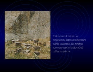 Predios como el de esta foto son
completamente áridos e inutilizables para
cultivos tradicionales. Sus moradores
pueden usar su extensión dearrollando
cultivos hidropónicos.
 