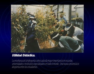 Utilidad Didáctica.
La enseñanza de la hidroponía cobra cada día mayor importancia en escuelas,
universidades e institutos especializados en todo el mundo. Una nueva conciencia se
despierta entre los estudiantes.
 