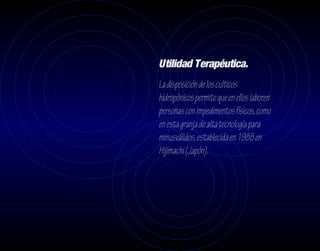 Utilidad Terapéutica.
La disposición de los culticos
hidropónicos permite que en ellos laboren
personas con impedimentos físicos, como
en esta granja de alta tecnología para
minusválidos, establecida en 1988 en
Hijimachi (Japón).
 