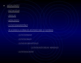 • MODALIDADES
  - RAÍZ EN SÓLIDO
  - VENTAJAS
  - MODALIDADES:
  - CULTIVO SEMIHIDROPÓNICO
  - DE ACUERDO A LA FORMA DEL RECIPIENTE PARA EL SUSTRATO:
               - CULTIVO EN BANCADA
               - CULTIVO EN CANALES
               - CULTIVOS EN TUBOS VERTICALES
                                 - CULTIVO EN SACOS O BOLSAS INDIVIDUALES
               - CULTIVO EN SALCHICHAS
 