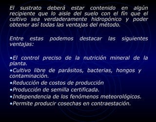 El sustrato deberá estar contenido en algún
recipiente que lo aisle del suelo con el fín que el
cultivo sea verdaderamente hidropónico y poder
obtener así todas las ventajas del método.

Entre estas   podemos    destacar   las   siguientes
ventajas:

•El control preciso de la nutrición mineral de la
planta.
•Cultivo libre de parásitos, bacterias, hongos y
contaminación.
•Reducción de costos de producción
•Producción de semilla certificada.
•Independencia de los fenómenos meteorológicos.
•Permite producir cosechas en contraestación.
 