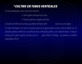 * CULTIVO EN TUBOS VERTICALES
En esta modalidad de cultivo existen dos variantes:
                         a. Tubos rígidos enterrados en el suelo.
                         b. Tubulares plásticos colgados del techo.
Los tubos van rellenos de sustrato, que deberá ser liviano sobre            todo si va a ser colgado.
En tubos enterrados en el suelo el sustrato puede ser de piedra pómez, escoria, retal de ladrillo, etc. En
tubulares plásticos deberá ser cascarilla de arroz, vermiculita, perlita u otro material liviano. El riego se
efectua por la parte superior del tubo y por la parte inferior el drenaje. Las plantas se siembran
espaciadas a 20 cm.
 