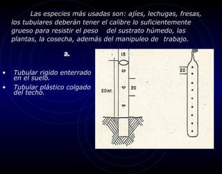 Las especies más usadas son: ajíes, lechugas, fresas,
    los tubulares deberán tener el calibre lo suficientemente
    grueso para resistir el peso del sustrato húmedo, las
    plantas, la cosecha, además del manipuleo de trabajo.

                    a.                 b.

•   Tubular rigido enterrado
    en el suelo.
•   Tubular plástico colgado
    del techo.
 