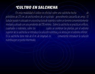 *CULTIVO EN SALCHICHA
            En esta modalidad el cultivo se efectuó sobre una salchicha hecha                de
polietileno de 25 cm. de ancho,relleno de un sustrato generalmente cascarilla de arroz. El
tubular puede ir colocado en una estructura de soporte o sobre un terreno convenientemente
nivelado y alisado con una pendiente del 3% mínimo. Sobre la salchicha se practican orificos,
cuadrados o redondos, sobre los               cuales se siembran las plantas, por el extremo
superior de la salchicha se introduce la solución nutritiva y se drena por el extremo inferior.
Si la salchicha tiene más de 6 m. de longitud, es           conveniente introducir la solución
nutritiva por un punto intermedio.
 