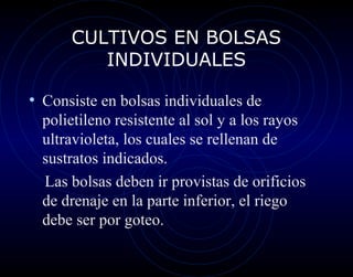 CULTIVOS EN BOLSAS
         INDIVIDUALES

• Consiste en bolsas individuales de
  polietileno resistente al sol y a los rayos
  ultravioleta, los cuales se rellenan de
  sustratos indicados.
  Las bolsas deben ir provistas de orificios
  de drenaje en la parte inferior, el riego
  debe ser por goteo.
 