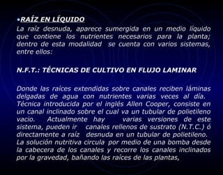 •RAÍZ EN LÍQUIDO
La raíz desnuda, aparece sumergida en un medio líquido
que contiene los nutrientes necesarios para la planta;
dentro de esta modalidad se cuenta con varios sistemas,
entre ellos:

N.F.T.: TÉCNICAS DE CULTIVO EN FLUJO LAMINAR

Donde las raíces extendidas sobre canales reciben láminas
delgadas de agua con nutrientes varias veces al día.
Técnica introducida por el inglés Allen Cooper, consiste en
un canal inclinado sobre el cual va un tubular de polietileno
vacio.    Actualmente hay         varias versiones de este
sistema, pueden ir canales rellenos de sustrato (N.T.C.) ó
directamente a raíz desnuda en un tubular de polietileno.
La solución nutritiva circula por medio de una bomba desde
la cabecera de los canales y recorre los canales inclinados
por la gravedad, bañando las raíces de las plantas,
 