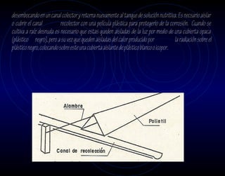 desembocando en un canal colector y retorna nuevamente al tanque de solución nutritiva. Es necsario aislar
o cubrir el canal          recolector con una película plástica para protegerlo de la corrosión. Cuando se
cultiva a raíz desnuda es necesario que estas queden aisladas de la luz por medio de una cubierta opaca
(plástico negro), pero a su vez que queden aisladas del calor producido por             la radiación sobre el
plástico negro, colocando sobre este una cubierta aislante de plástico blanco o icopor.
 