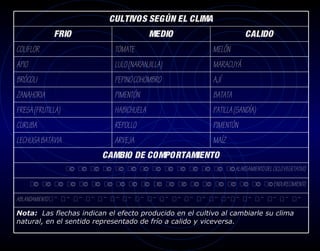 CULTIVOS SEGÚN EL CLIMA
             FRIO                              MEDIO                        CALIDO
COLIFLOR                          TOMATE                         MELÓN
APIO                              LULO (NARANJILLA)              MARACUYÁ
BRÓCOLI                           PEPINO COHOMBRO                AJÍ
ZANAHORIA                         PIMENTÓN                       BATATA
FRESA (FRUTILLA)                  HABICHUELA                     PATILLA (SANDÍA)
CURUBA                            REPOLLO                        PIMENTÓN
LECHUGA BATAVIA                   ARVEJA                         MAÍZ
                              CAMBIO DE COMPORTAMIENTO
                   © © © © © © © © © © © © © © ALARGAMIENTO DEL CICLO VEGETATIVO

       © © © © © © © © © © © © © © © © © © © © ENDURECIMIENTO

ABLANDAMIENTO ¨ ¨ ¨ ¨ ¨ ¨ ¨ ¨ ¨ ¨ ¨ ¨ ¨ ¨ ¨ ¨ ¨ ¨ ¨ ¨ ¨

Nota: Las flechas indican el efecto producido en el cultivo al cambiarle su clima
natural, en el sentido representado de frío a calido y viceversa.
 