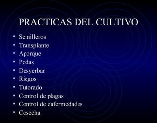 PRACTICAS DEL CULTIVO
•   Semilleros
•   Transplante
•   Aporque
•   Podas
•   Desyerbar
•   Riegos
•   Tutorado
•   Control de plagas
•   Control de enfermedades
•   Cosecha
 