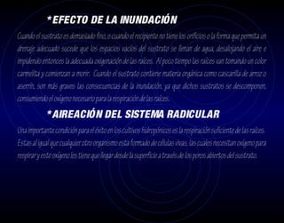 * EFECTO DE LA INUNDACIÓN
Cuando el sustrato es demasiado fino, o cuando el recipiente no tiene los orificios o la forma que permita un
drenaje adecuado sucede que los espacios vacíos del sustrato se llenan de agua, desalojando el aire e
impidendo entonces la adecuada oxigenación de las raíces. Al poco tiempo las raíces van tomando un color
carmelita y comienzan a morir. Cuando el sustrato contiene materia orgánica como cascarilla de arroz o
aserrín, son más graves las consecuencias de la inundación, ya que dichos sustratos se descomponen,
consumiendo el oxígeno necesario para la respiración de las raíces.
            * AIREACIÓN DEL SISTEMA RADICULAR
Una importante condición para el éxito en los cultivos hidropónicos es la respiración suficiente de las raíces.
Estas al igual que cualquier otro organismo esta formado de células vivas, las cuales necesitan oxígeno para
respirar y este oxígeno les tiene que llegar desde la superficie a través de los poros abiertos del sustrato.
 
