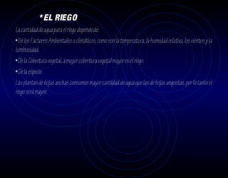 * EL RIEGO
La cantidad de agua para el riego depende de:
•De los Factores Ambientales o climáticos, como son la temperatura, la humedad relativa, los vientos y la
luminosidad.
•De la Cobertura vegetal, a mayor cobertura vegetal mayor es el riego.
•De la especie
Las plantas de hojas anchas consumen mayor cantidad de agua que las de hojas angostas, por lo tanto el
riego será mayor.
 