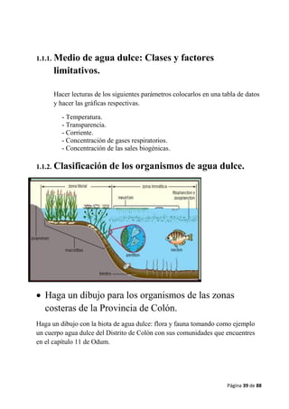 Página 39 de 88
1.1.1. Medio de agua dulce: Clases y factores
limitativos.
Hacer lecturas de los siguientes parámetros colocarlos en una tabla de datos
y hacer las gráficas respectivas.
- Temperatura.
- Transparencia.
- Corriente.
- Concentración de gases respiratorios.
- Concentración de las sales biogénicas.
1.1.2. Clasificación de los organismos de agua dulce.
 Haga un dibujo para los organismos de las zonas
costeras de la Provincia de Colón.
Haga un dibujo con la biota de agua dulce: flora y fauna tomando como ejemplo
un cuerpo agua dulce del Distrito de Colón con sus comunidades que encuentres
en el capítulo 11 de Odum.
 