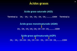 Ácidos grasos 26 Ácido graso saturado (AGS) Terminal     CH 3   –  CH 2  –  CH 2  –   CH 2  –  CH 2  –   CH 2  –............