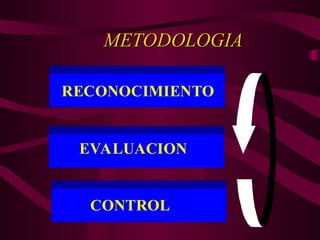 METODOLOGIA
METODOLOGIA
EVALUACION
RECONOCIMIENTO
EVALUACION
CONTROL
 