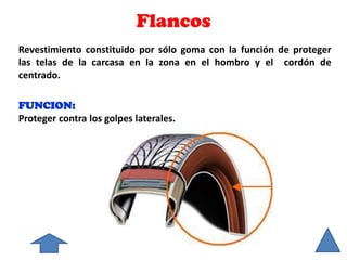 FUNCION:
Proteger contra los golpes laterales.
Flancos
Revestimiento constituido por sólo goma con la función de proteger
las telas de la carcasa en la zona en el hombro y el cordón de
centrado.
 