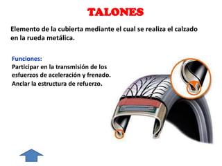 TALONES
Elemento de la cubierta mediante el cual se realiza el calzado
en la rueda metálica.
Funciones:
Participar en la transmisión de los
esfuerzos de aceleración y frenado.
Anclar la estructura de refuerzo.
 