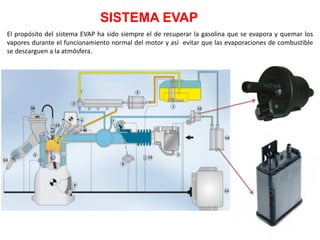 El propósito del sistema EVAP ha sido siempre el de recuperar la gasolina que se evapora y quemar los
vapores durante el funcionamiento normal del motor y así evitar que las evaporaciones de combustible
se descarguen a la atmósfera.
SISTEMA EVAP
 