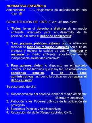 NORMATIVA MEDIO AMBIENTALANTECEDENTES LEGISLATIVOS INTERNACIONALESE.E.U.U. En 1.872 – Parque Nacional Yellowstone 			       (gran reserva)