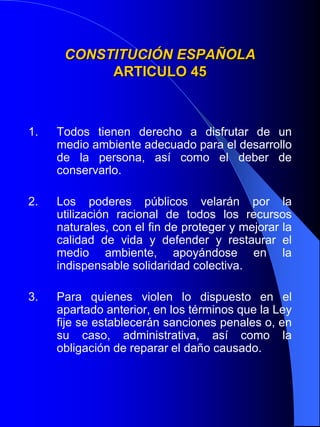 En 1.914 – Primera Conferencia Internacional sobre protección en Paisajes Naturales
