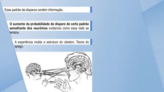 Esse padrão de disparos contém informação.
O aumento da probabilidade de disparo de certo padrão
semelhante dos neurônios evidencia como essa rede se
lembra.
A experiência molda a estrutura do cérebro. Teoria do
apego.
 
