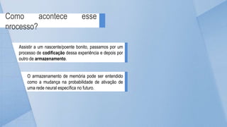 Como acontece esse
processo?
Assistir a um nascente/poente bonito, passamos por um
processo de codificação dessa experiência e depois por
outro de armazenamento.
O armazenamento de memória pode ser entendido
como a mudança na probabilidade de ativação de
uma rede neural específica no futuro.
 