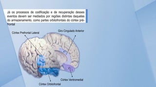 Já os processos de codificação e de recuperação desses
eventos devem ser mediados por regiões distintas daquelas
do armazenamento, como partes orbitofrontais do córtex pré-
frontal
Córtex Orbitofrontal
Córtex Ventromedial
Córtex Prefrontal Lateral
Giro Cingulado Anterior
 
