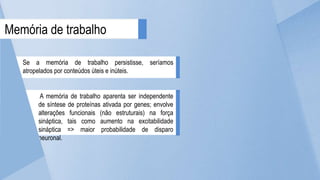Se a memória de trabalho persistisse, seríamos
atropelados por conteúdos úteis e inúteis.
A memória de trabalho aparenta ser independente
de síntese de proteínas ativada por genes; envolve
alterações funcionais (não estruturais) na força
sináptica, tais como aumento na excitabilidade
sináptica => maior probabilidade de disparo
neuronal.
Memória de trabalho
 