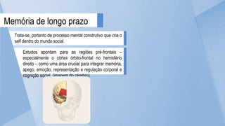 Trata-se, portanto de processo mental construtivo que cria o
self dentro do mundo social.
Memória de longo prazo
Estudos apontam para as regiões pré-frontais –
especialmente o córtex órbito-frontal no hemisfério
direito – como uma área crucial para integrar memória,
apego, emoção, representação e regulação corporal e
cognição social. (imagem do cérebro)
 