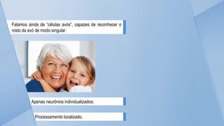Falamos ainda de “células avós”, capazes de reconhecer o
rosto da avó de modo singular.
Apenas neurônios individualizados;
Processamento localizado.
 
