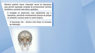 Memória explícita requer maturação neural do hipocampo
para permitir expressão completa de primeiramente memória
semântica e somente mais tarde a episódica.
A amígdala se desenvolve mais rapidamente que o
hipocampo, permitindo monitoramento precoce de perigos
no ambiente, inclusive ainda no ventre materno.
O hipocampo não – demora mais tempo no processo
de maturação.
 
